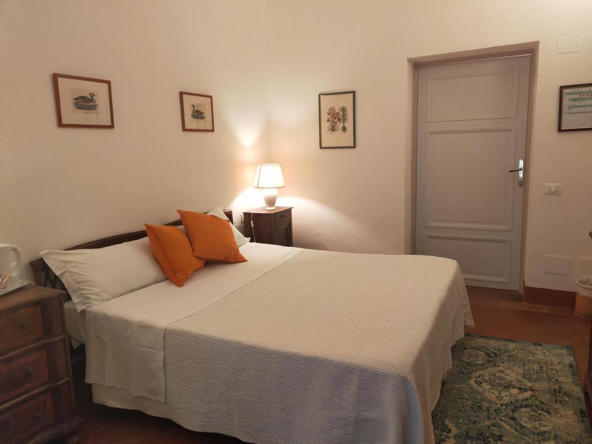 Tenuta Mocajo Guardistallo Extérieur photo